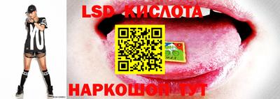 ПСИЛОЦИБИНОВЫЕ ГРИБЫ Коммунар