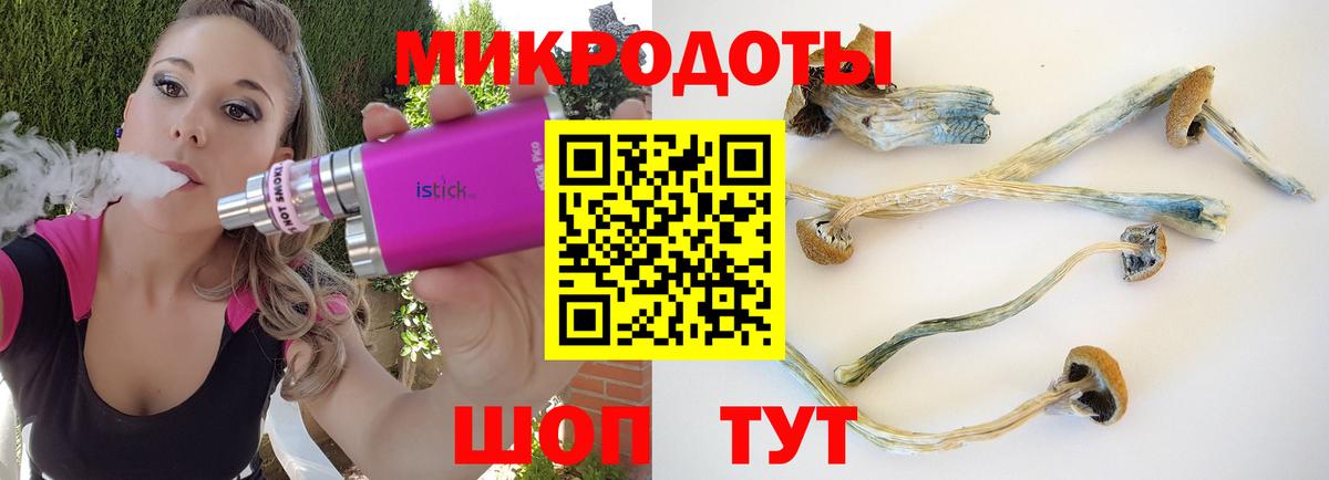 дарнет шоп  Галлюциногенные грибы GOLDEN TEACHER  Псилоцибиновые грибы ЛСД  Вход с VPN  Арсеньев 